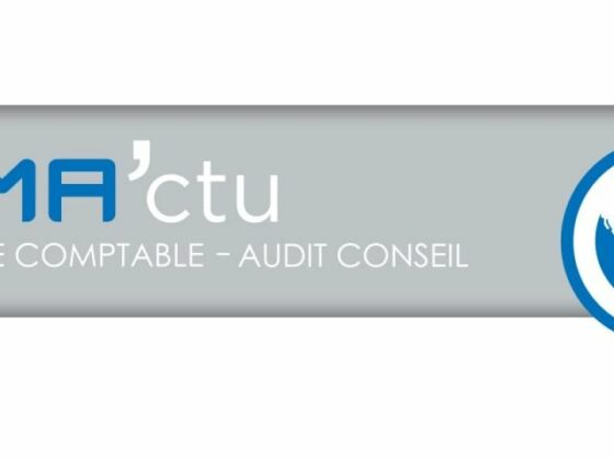 TNS et Dividendes socialisés base 100% ! Un arrêt de cassation le confirme